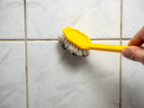 Best Emergency Mold Removal  in Blasdell, NY