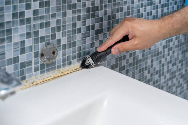 Best Toxic Mold Removal  in Blasdell, NY