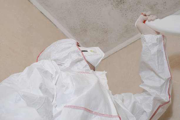 Water Damage Restoration in Blasdell, NY